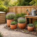 découvrez les indispensables pour un jardin facile à entretenir : astuces, outils et plantes idéales pour un espace verdoyant sans effort.