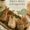 Salle de séjour décorée dans un style cottagecore avec des couleurs douces et des éléments naturels.