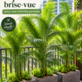 Un balcon luxuriant avec des plantes brise-vue créant un espace intime.