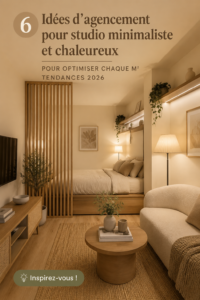 Agencement d'un appartement studio minimaliste avec des meubles pratiques et une décoration chaleureuse.