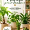 Une composition de plantes porte-bonheur sur une table, créant une ambiance sereine.