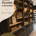 Un salon chaleureux avec des meubles d'occasion stylés.