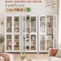 Une élégante bibliothèque en verre moderne dans un salon lumineux.